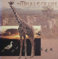 Trials of Life, The (1990) [ID8598TU]